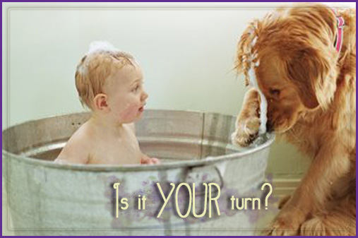 Is it Your turn for a new Website?